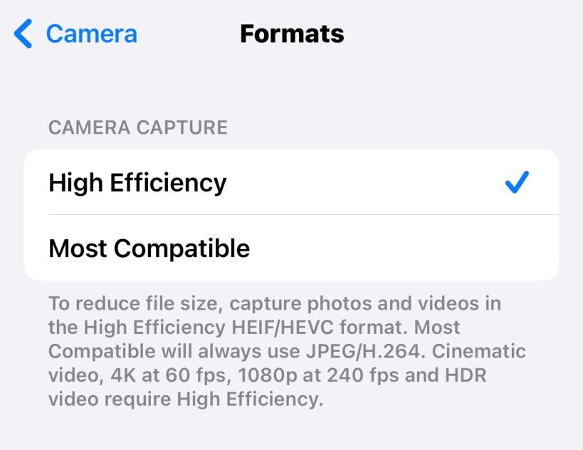Is this the most important iPhone Camera setting - High Efficiency or Most Compatible?